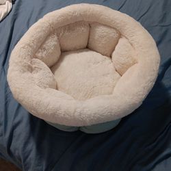 Pet Bed New