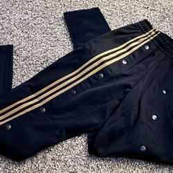 Adidas IVY PARK track Pants