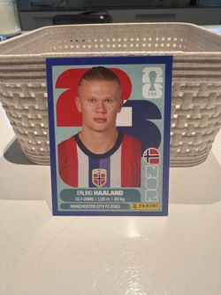 Erling Haaland Panini World Cup Sticker