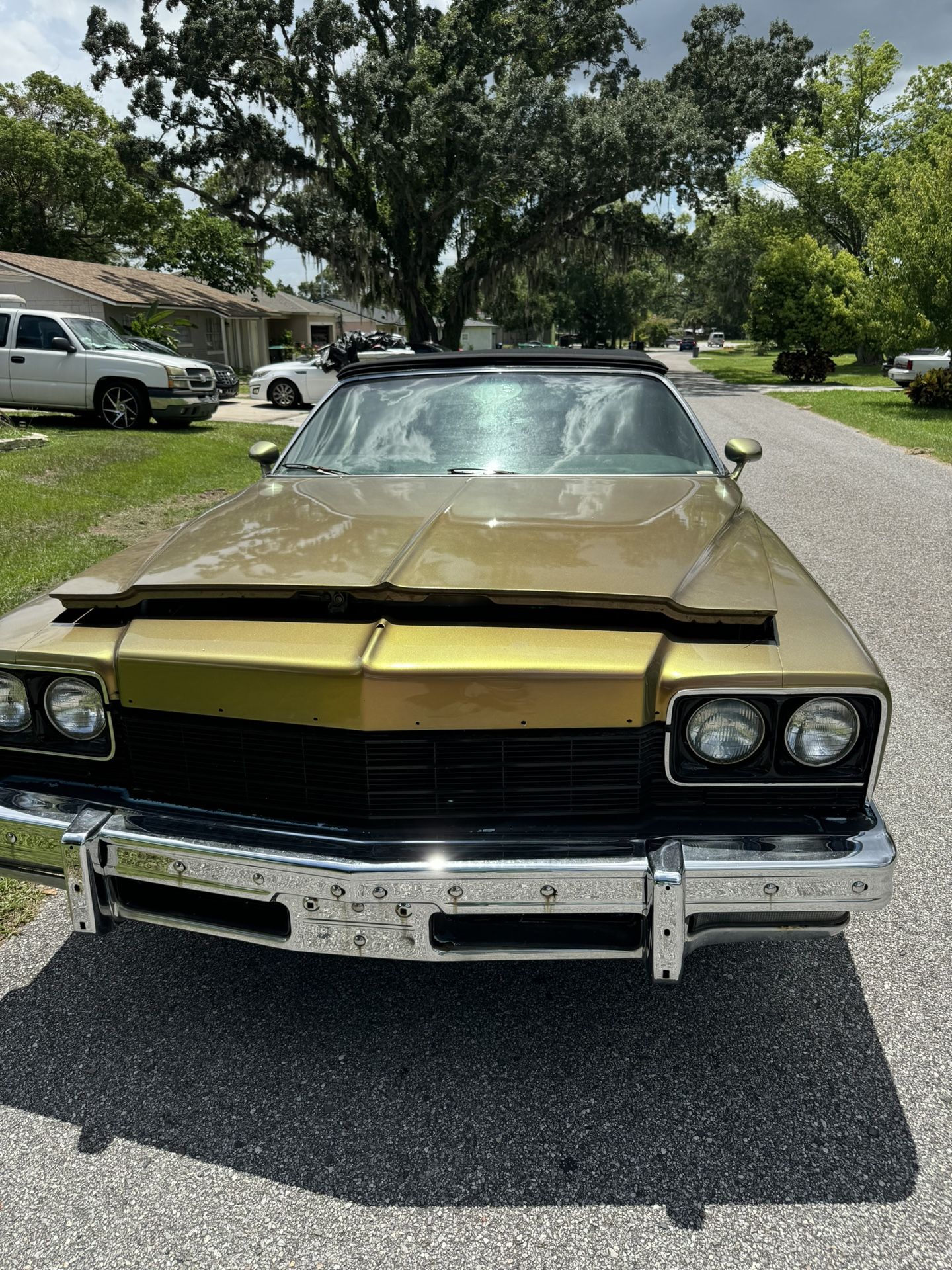 1975 Buick Century
