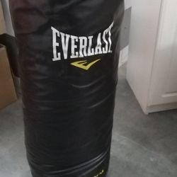100lb Everlast Powercore Punching Bag