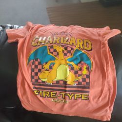 POKEMON TEE. LG ( 10-12).           PICK ⛏️ UP ONLY