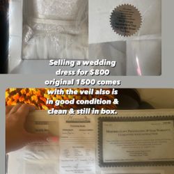 Wedding Dress Cleaned & Comes With Veil 