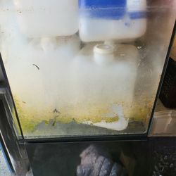 Salt Water Fish Tank 40Gal $700 OBO