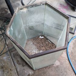 Hexagon 55 Gal Fish Tank