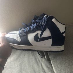 Nike Sb Dunk Highs