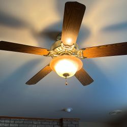 Hunter 50 Inch Ceiling Fans