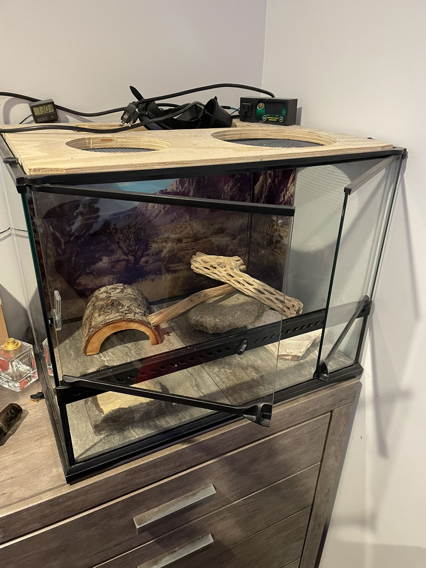 Reptile 🦎 Setup Everything