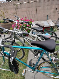 Schwinn, Giant, Motobecane, Infinity Bike