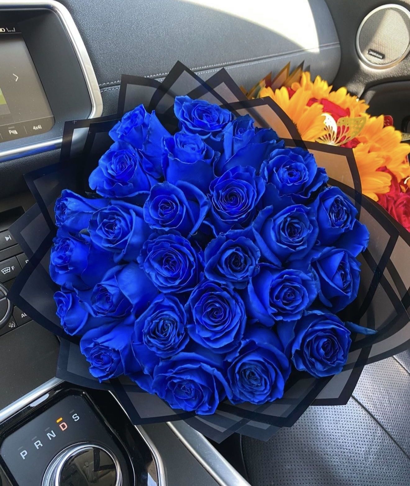 Fresh Blue Roses 🌹 