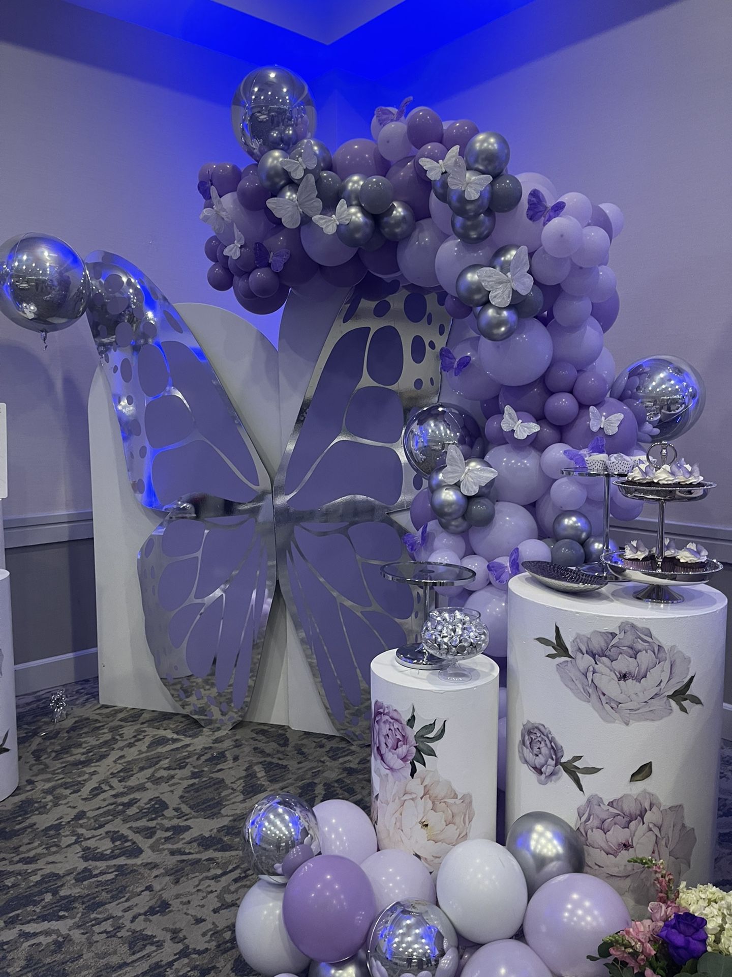 Butterly For Backdrop For Sale