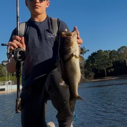 savage gear casting rod