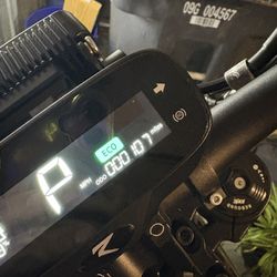 2025 Rawr Mantis X Pro 