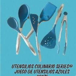 Juego De Utensilios Azules Princess House