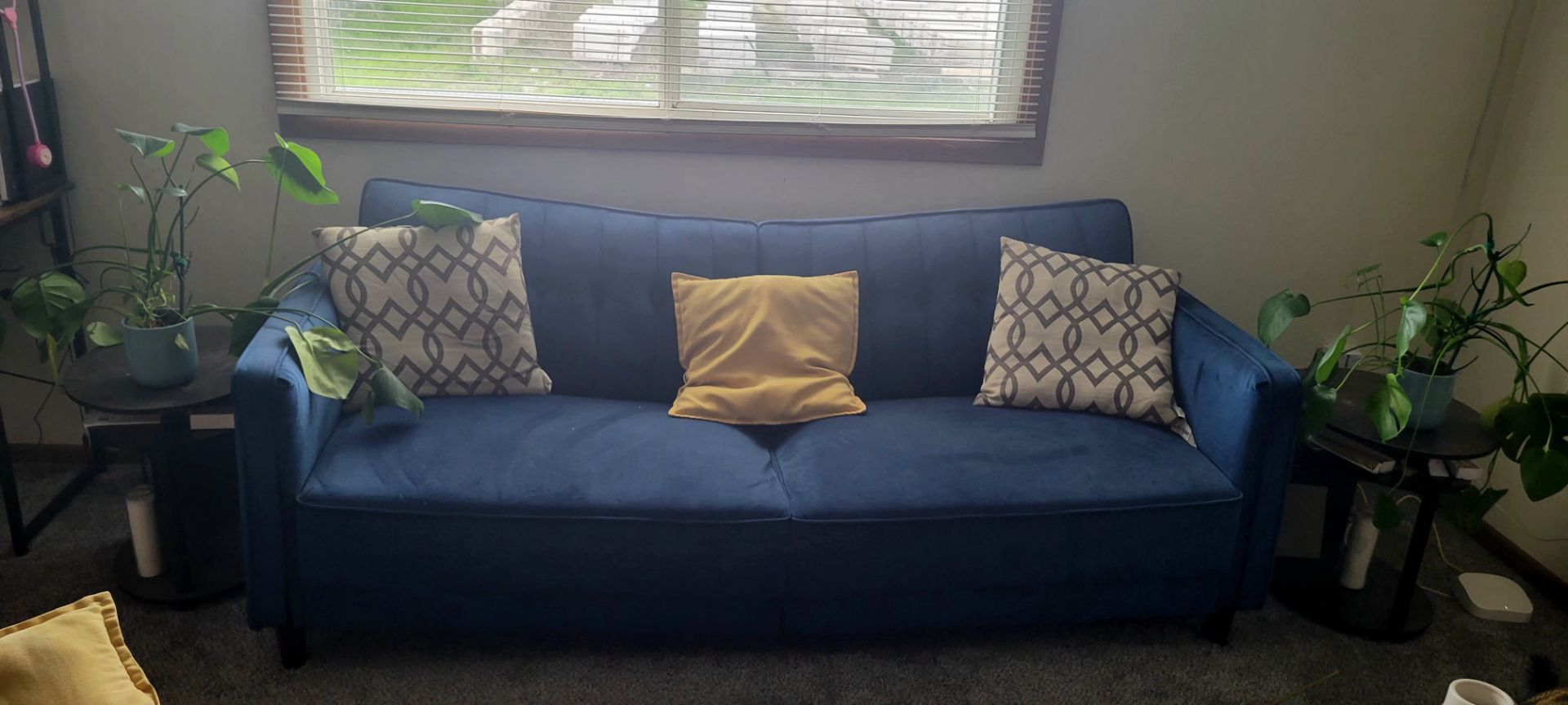 Comfy Sleeper couch