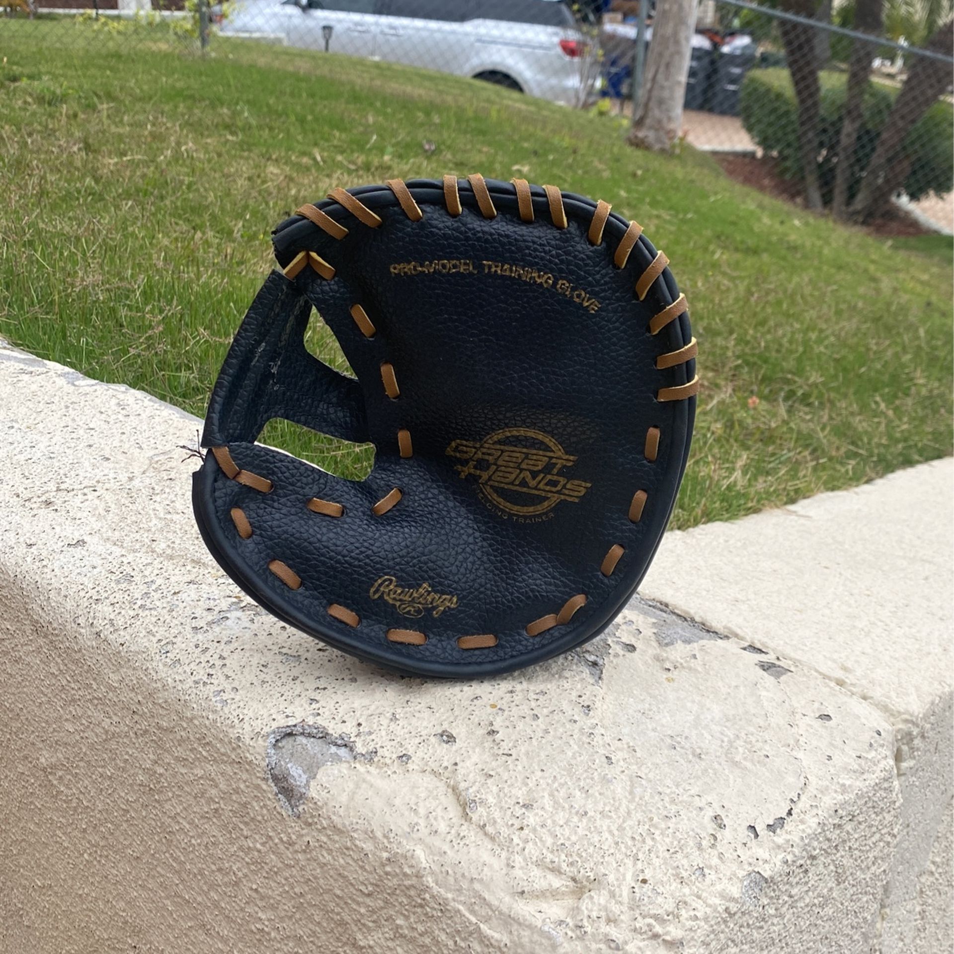 Rawlings Pro-model Training Glove