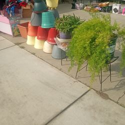 plantas y macetas diferentes Precios 