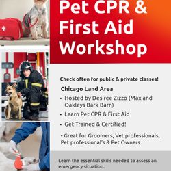 Pet CPR & First Aid