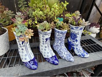Succulent boots
