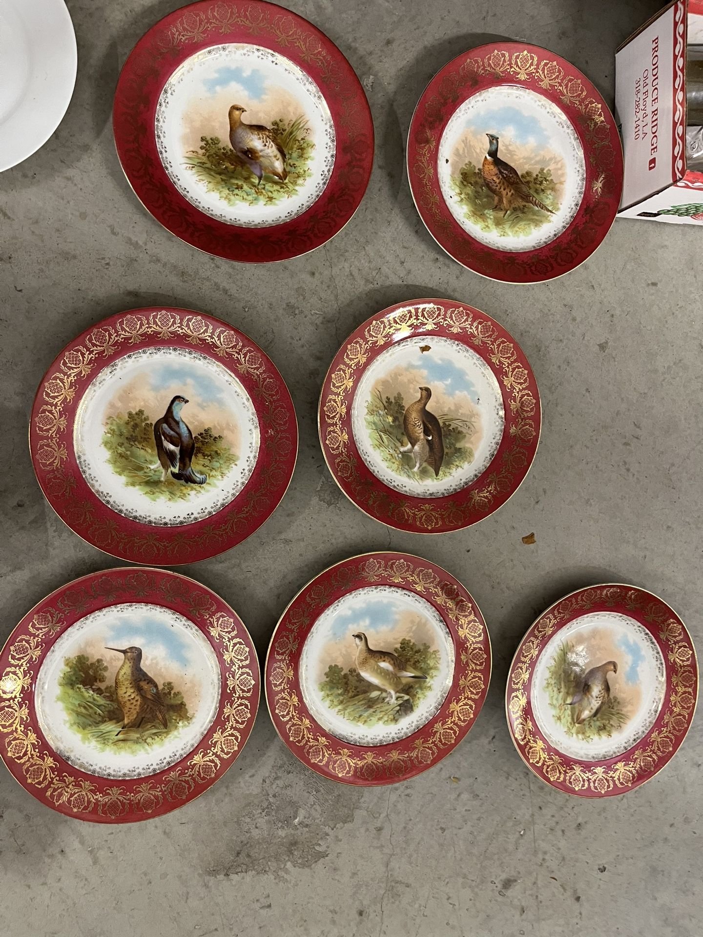 Austrian China Plates 7 Set