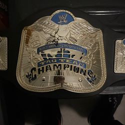 WWE Tag Team Champion