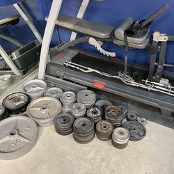 Weights/Bench/Treadmill