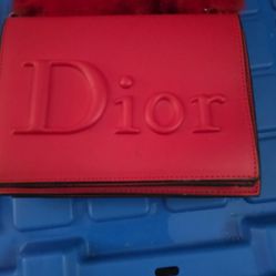 Dior 2 Way Bag