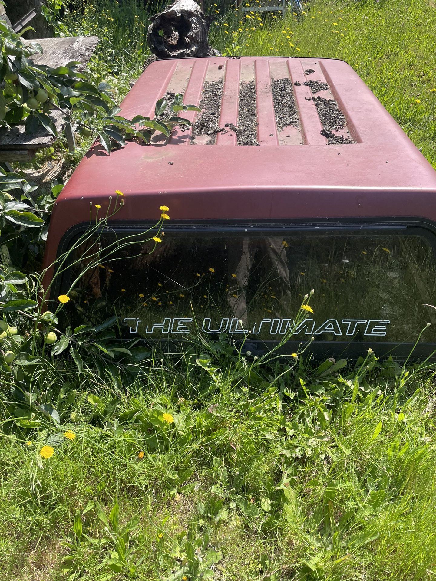 Nissan Truck.