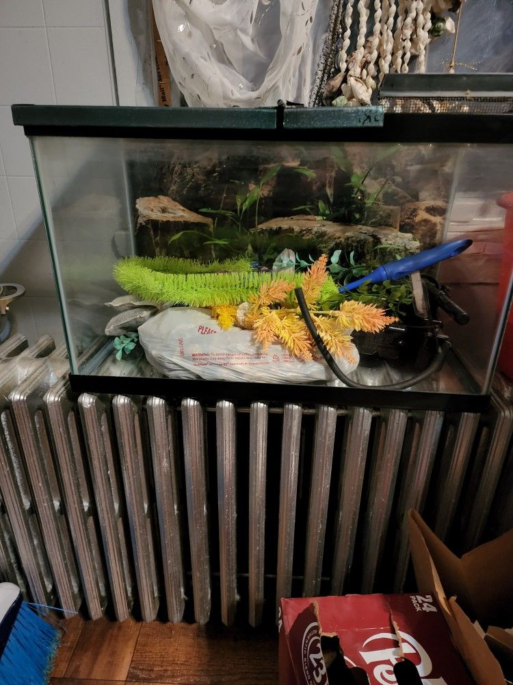 10 GALLON TANK