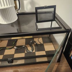 Terrarium With Stand And Lamps 100.00