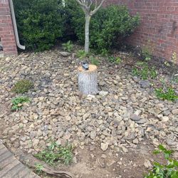 Free Rocks - Must pick up