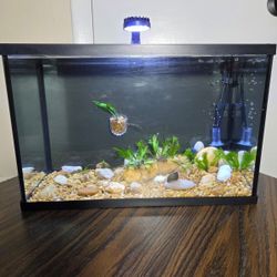 Stunning 5-Gallon Planted Aquarium Bundle with Ornate Vintage Stand