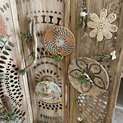 Airplant Art 