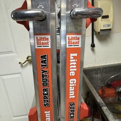 Little Giant Ladder Like New