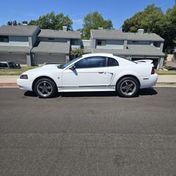 2000 Ford Mustang