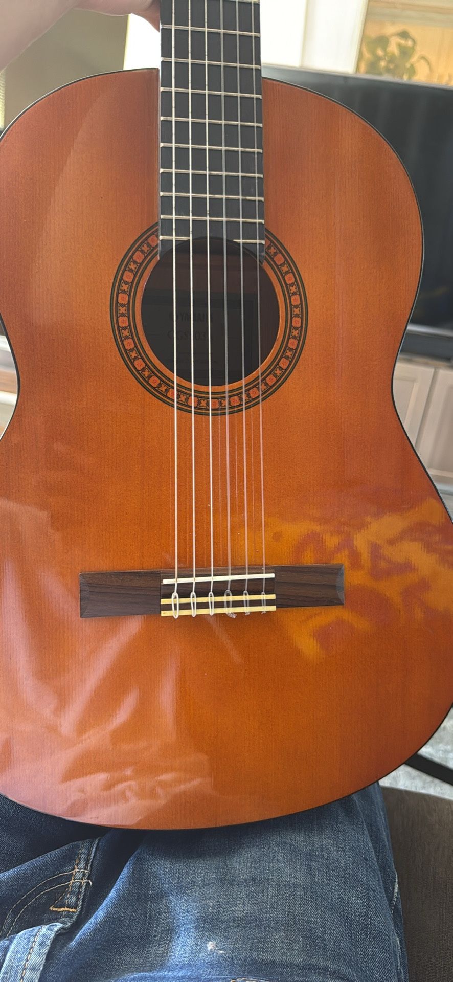 Guitar Cgs103a