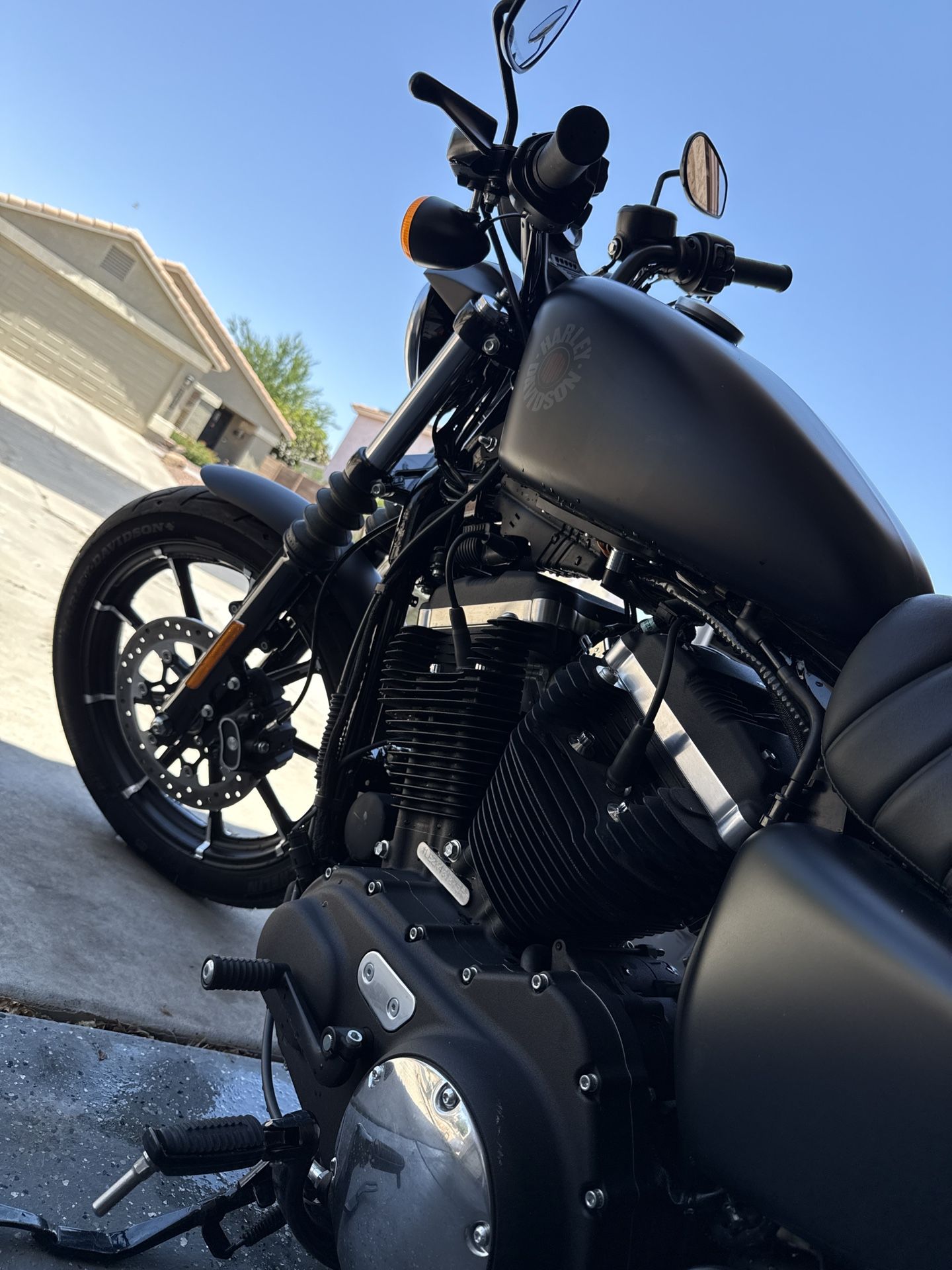 2019 Harley Davidson Sportster 883