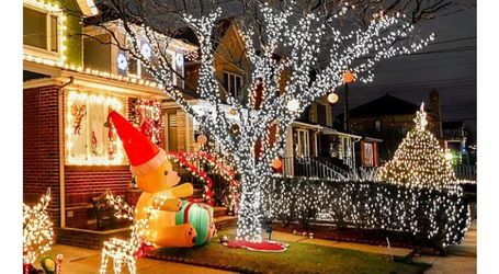 Alguien K Este Disponible Para Mañana Para Remover Christmas Lights