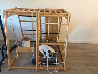 kids jungle gym