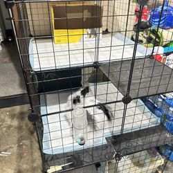 Rabbit Cage and more