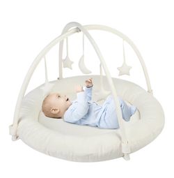 Nest Baby Activity Gym 