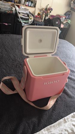 Pink Igloo Tag-A-Long