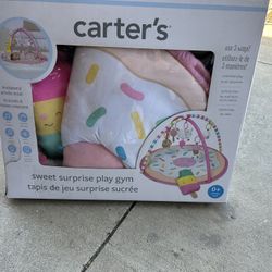 Play Gym Baby