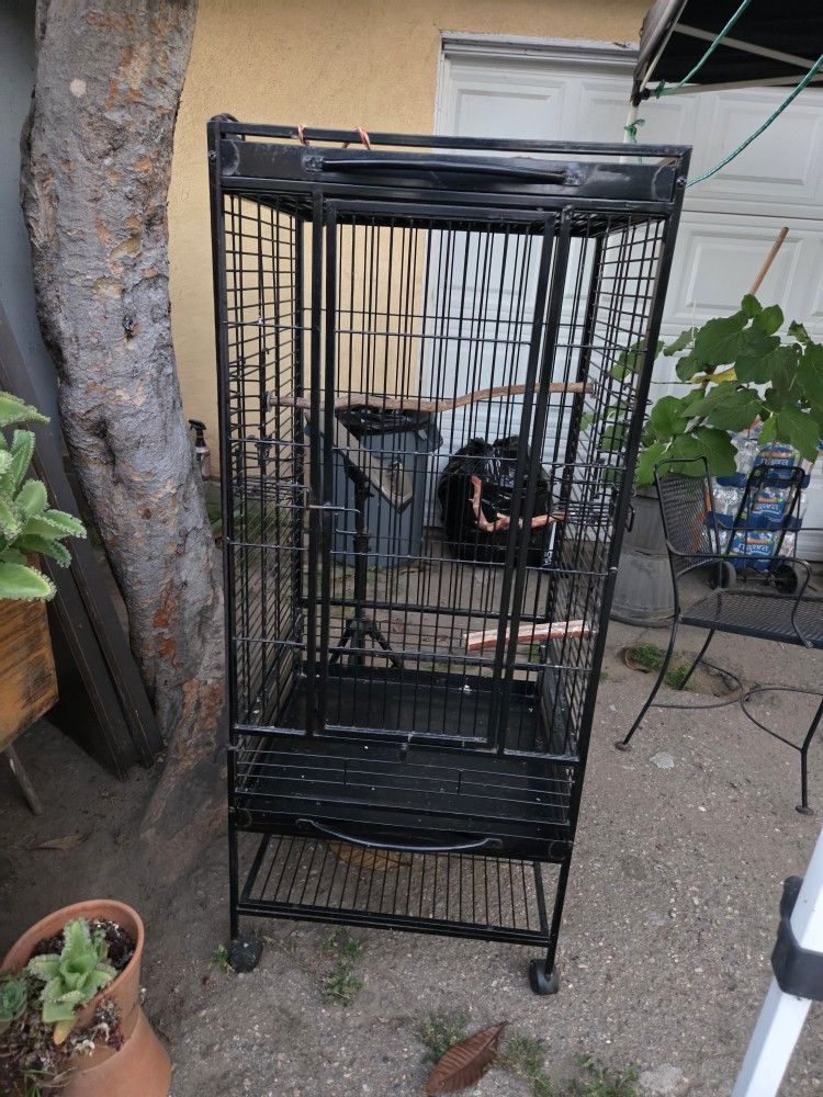 Bird Cage