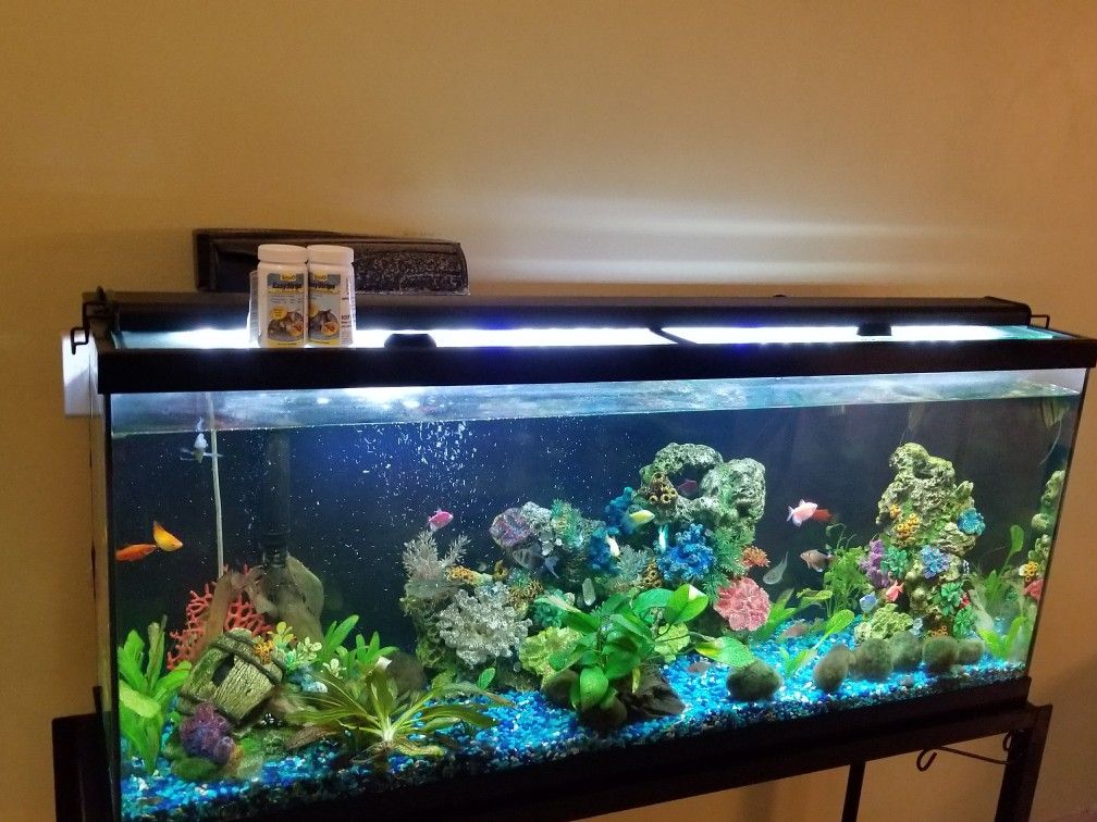 55 gallon Fish tank & stand among other items