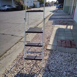 Tricam Industies Skinny Mini Ladder 