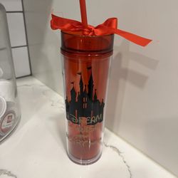 Brand New Disney tumbler