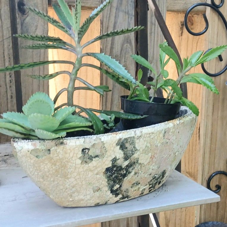 Vintage Ceramic Planter House Plant Pot