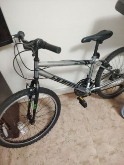 Bicycle (worn down a bit from rain, still works