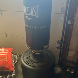 Everlast Training Bag 